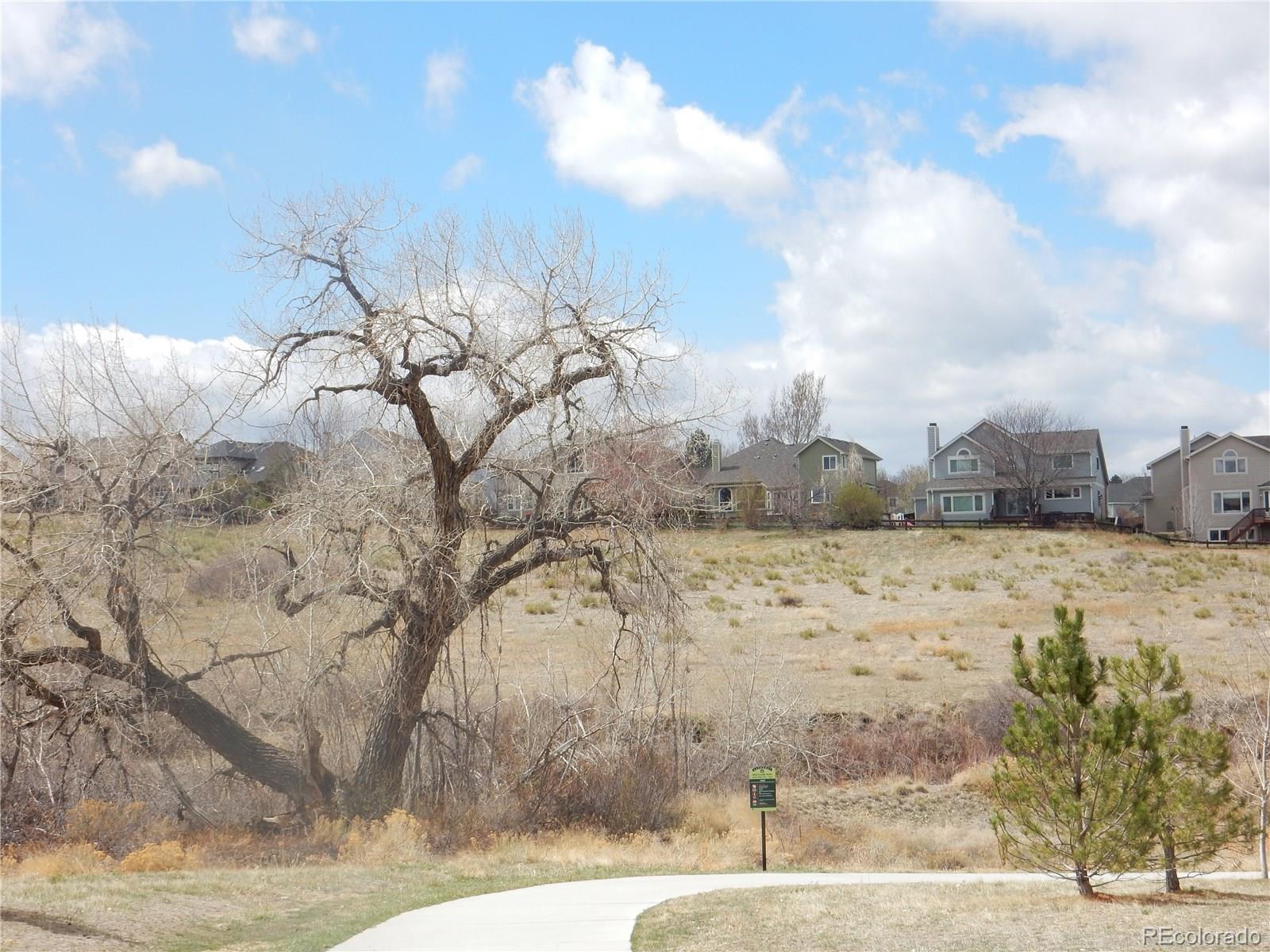 9526 Firenze Way Highlands Ranch, CO 80126 - Photo 34 of 35