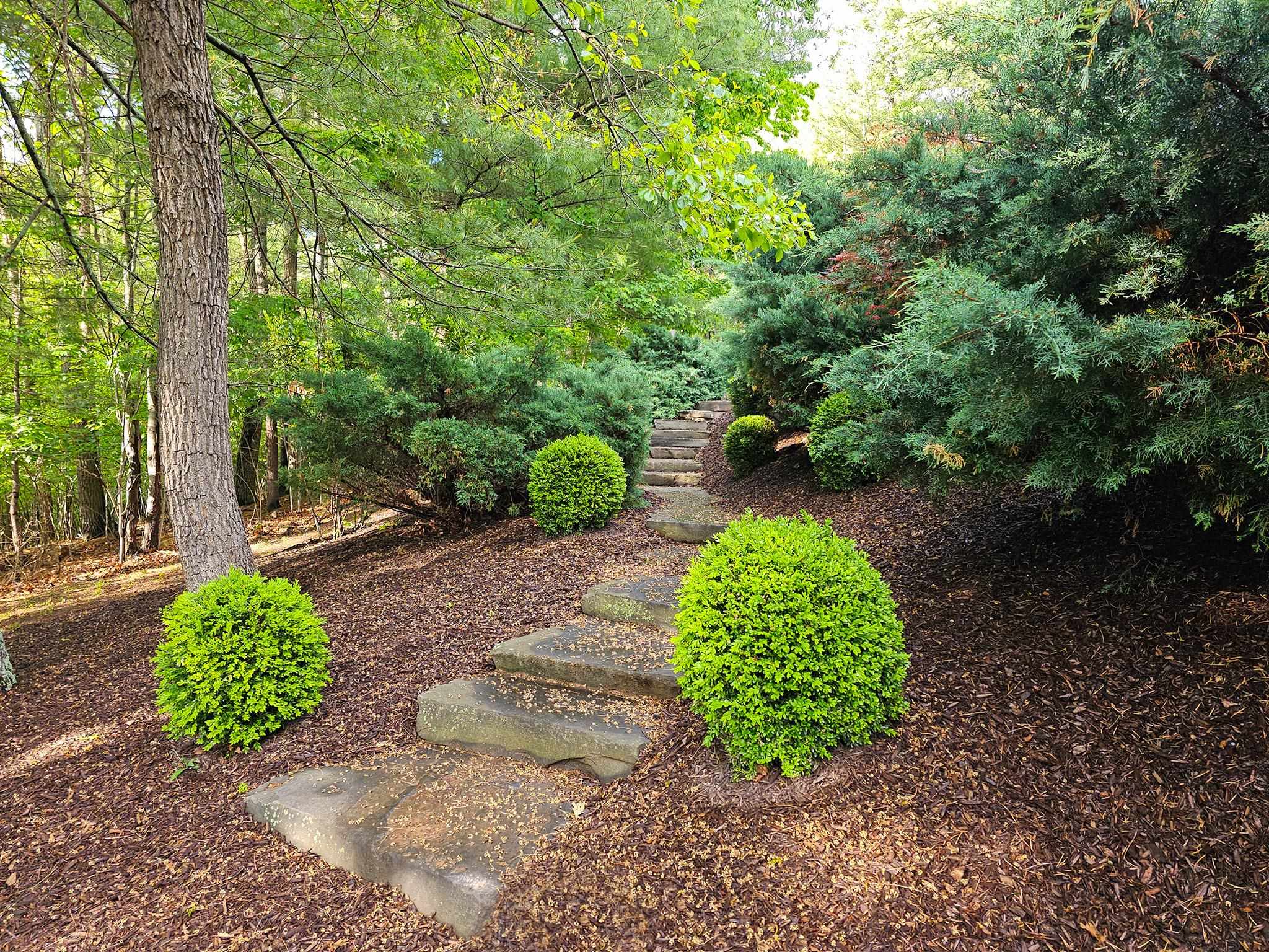 759 Rife's Ford Road Verona, VA 24482 - Photo 54 of 66 a view of a garden with a pathway