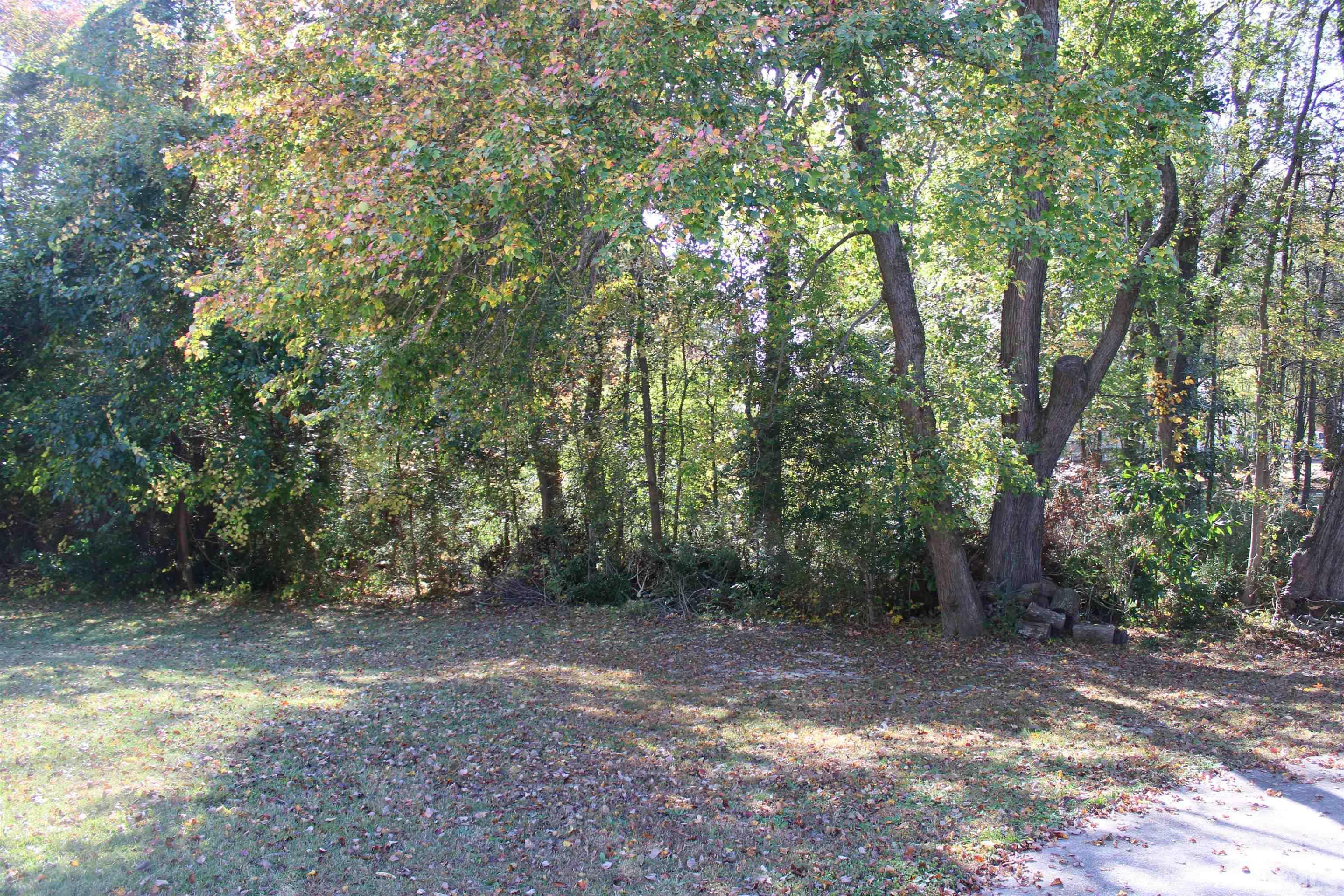 9300 Sauls Road Raleigh, NC 27603 - Photo 17 of 17 a view of a forest with trees in the background