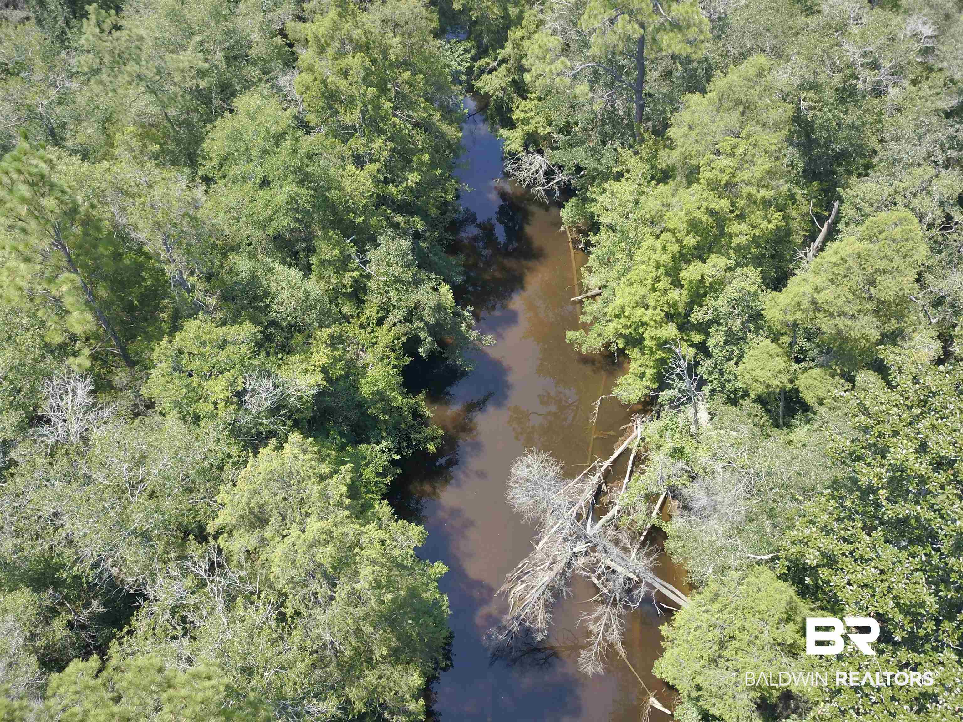 17175 Kelly Road Mount Vernon, AL 36560 - Photo 2 of 30 Aerial view