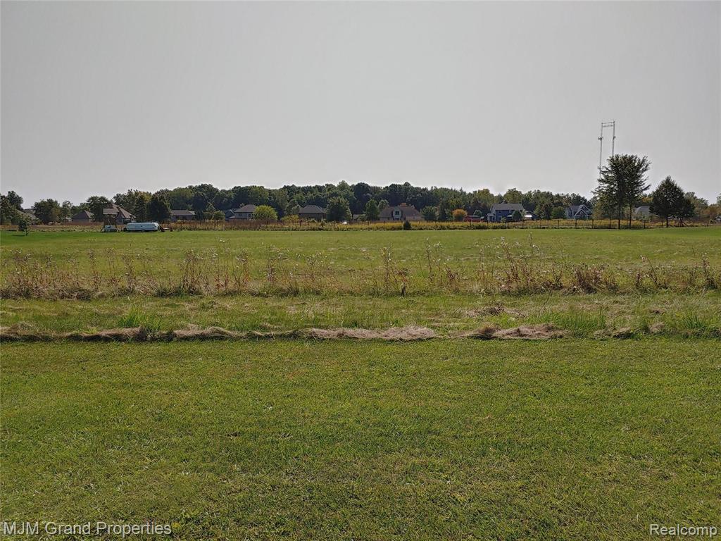 Vacant Felt Road New Boston, MI 48164 - Photo 4 of 5