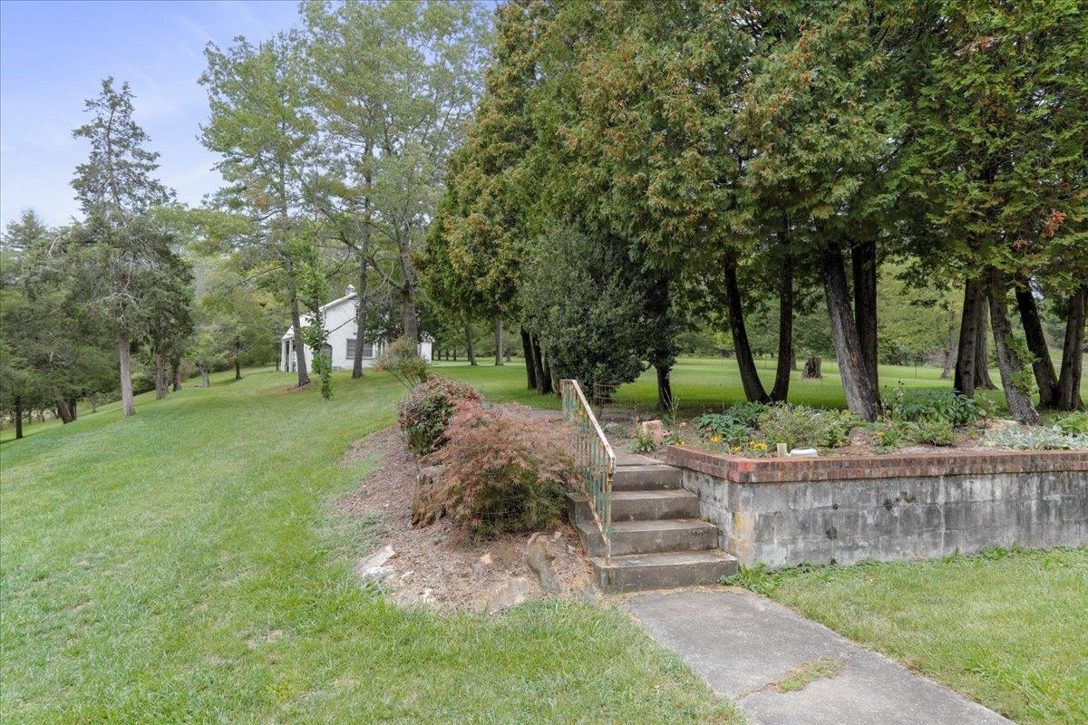 12481 Supinlick Ridge Road Edinburg, VA 22824 - Photo 51 of 75 a view of backyard with green space