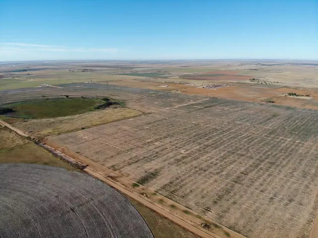 a view of an ocean beach