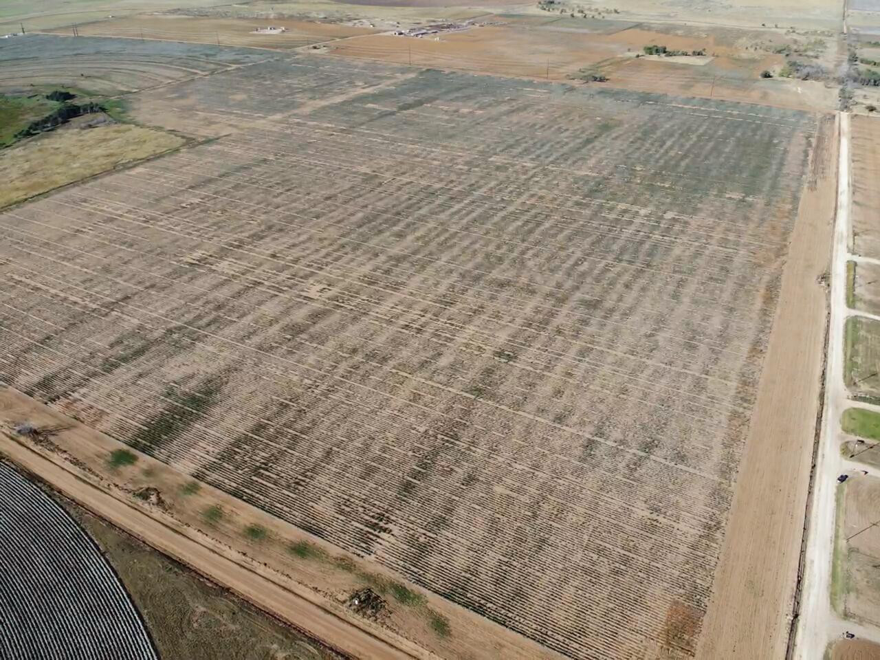 0 C R 5200 Abernathy, TX 79311 - Photo 18 of 48 a view of wooden floor