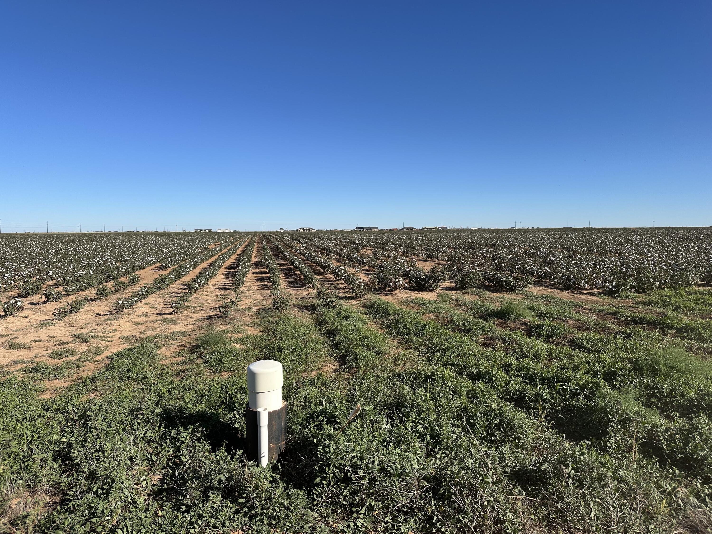 0 C R 5200 Abernathy, TX 79311 - Photo 2 of 48 a view of a lake with a mountain in the background