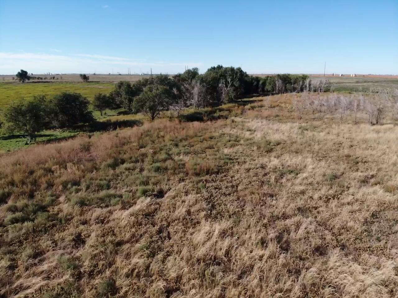 0 C R 5200 Abernathy, TX 79311 - Photo 30 of 48 a view of a dry yard with trees in the background