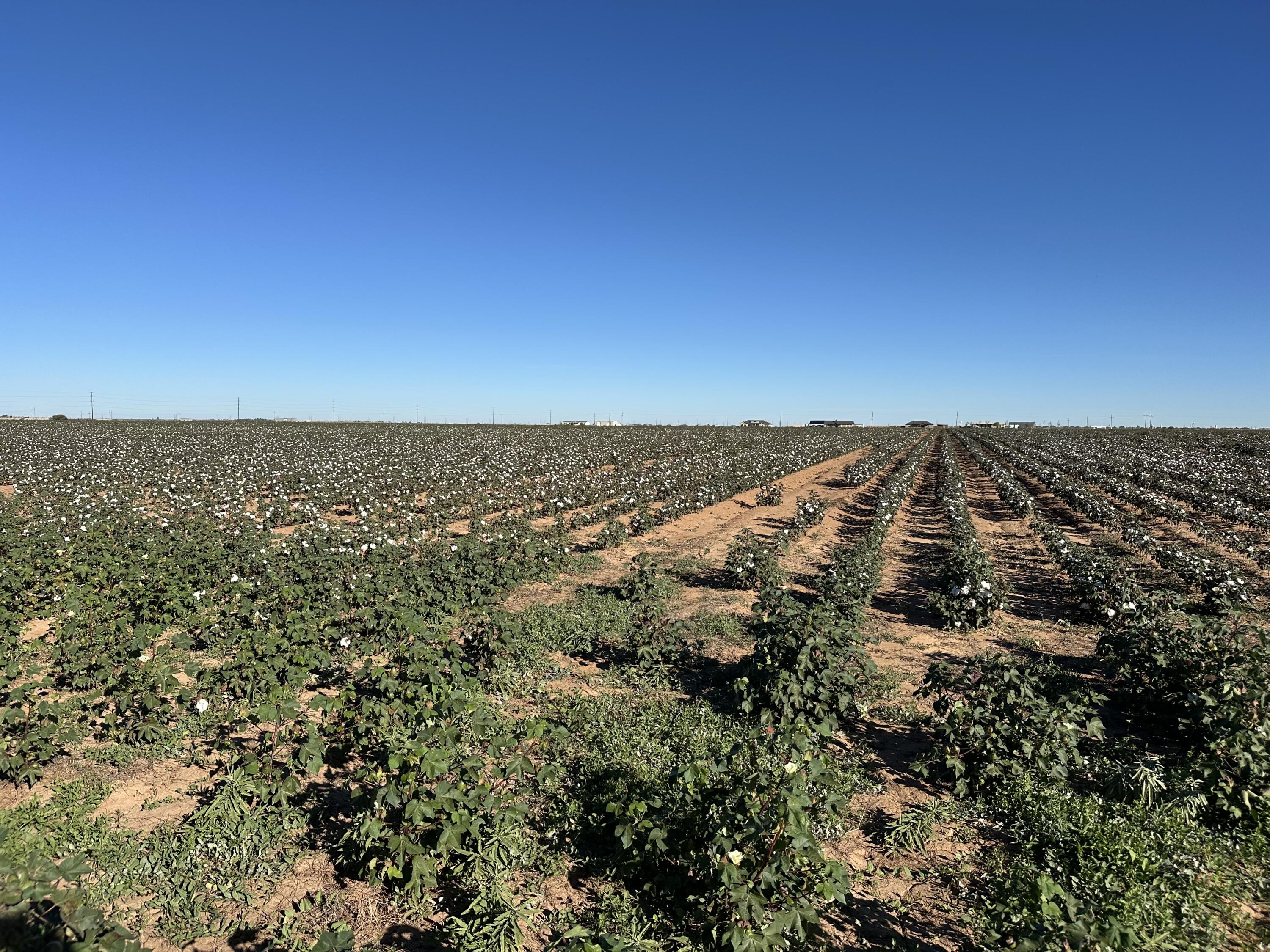 0 C R 5200 Abernathy, TX 79311 - Photo 36 of 48 a view of a large building with mountains in the background
