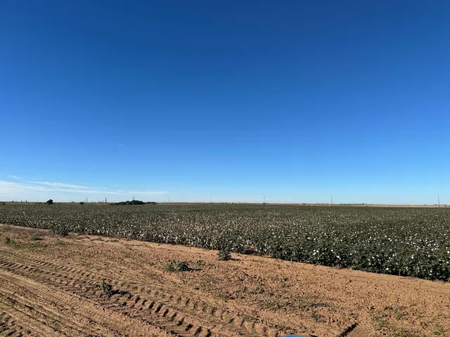 a view of a lake from a yard