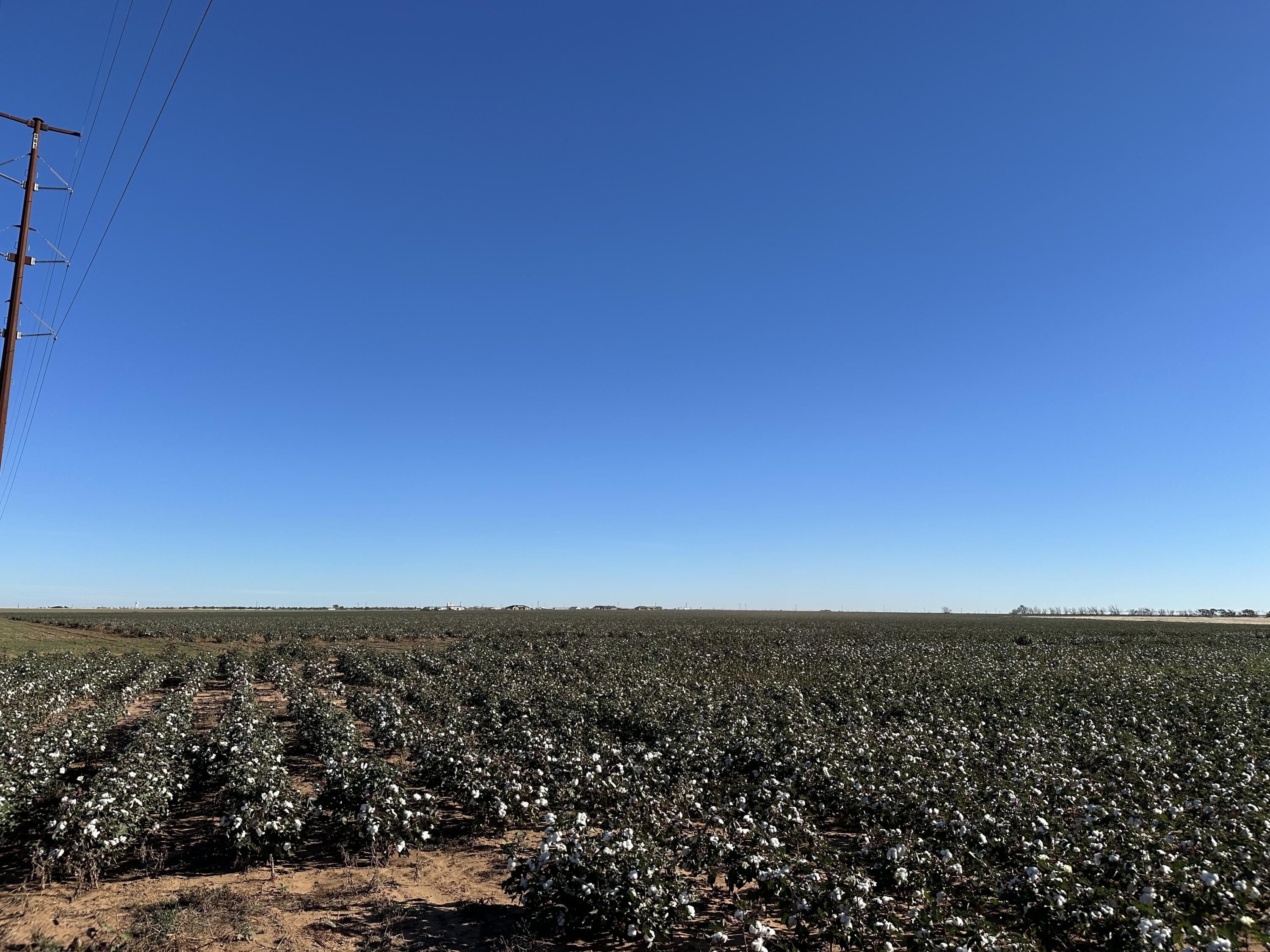 0 C R 5200 Abernathy, TX 79311 - Photo 38 of 48