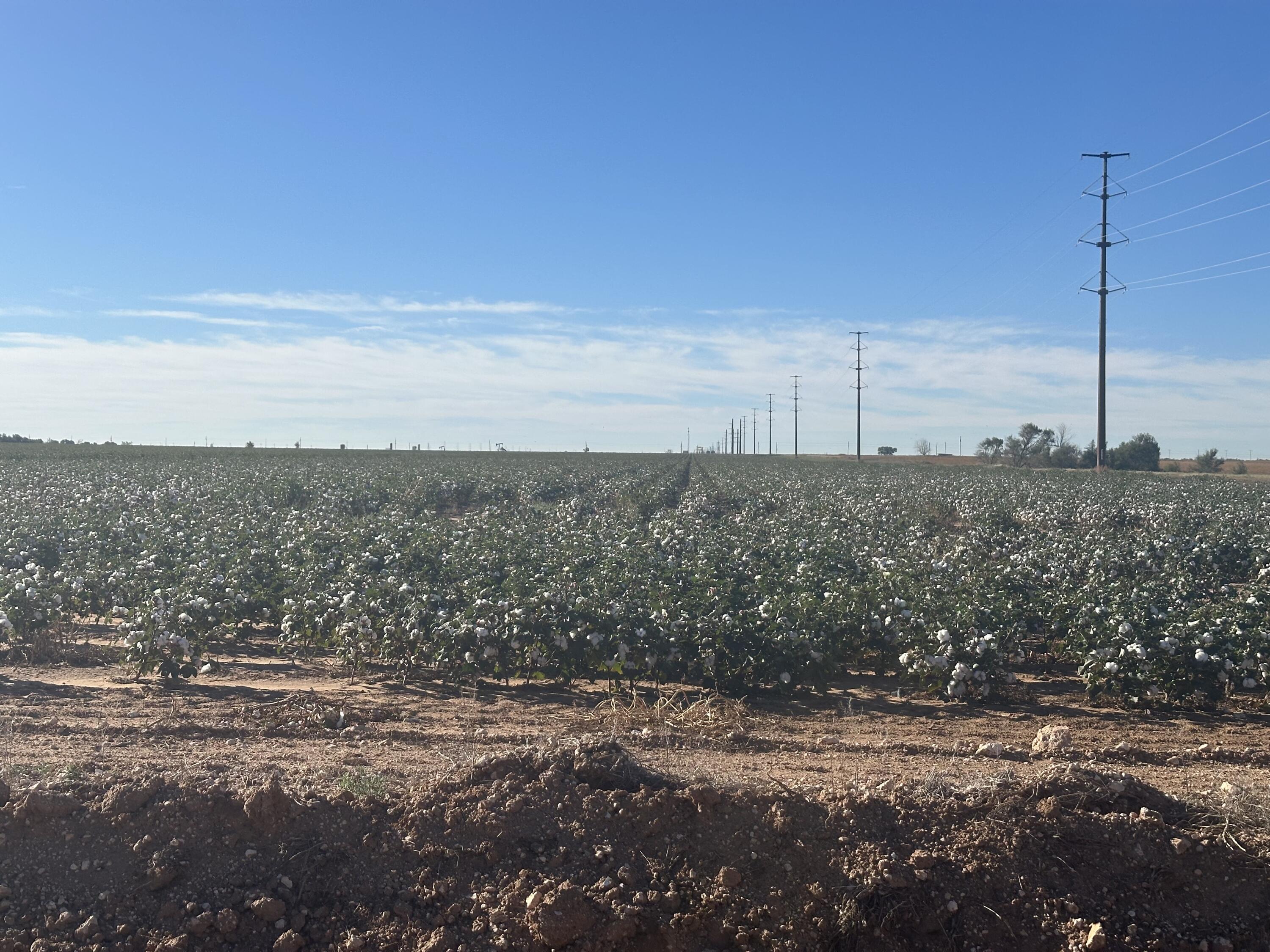 0 C R 5200 Abernathy, TX 79311 - Photo 40 of 48 a view of a field with an ocean