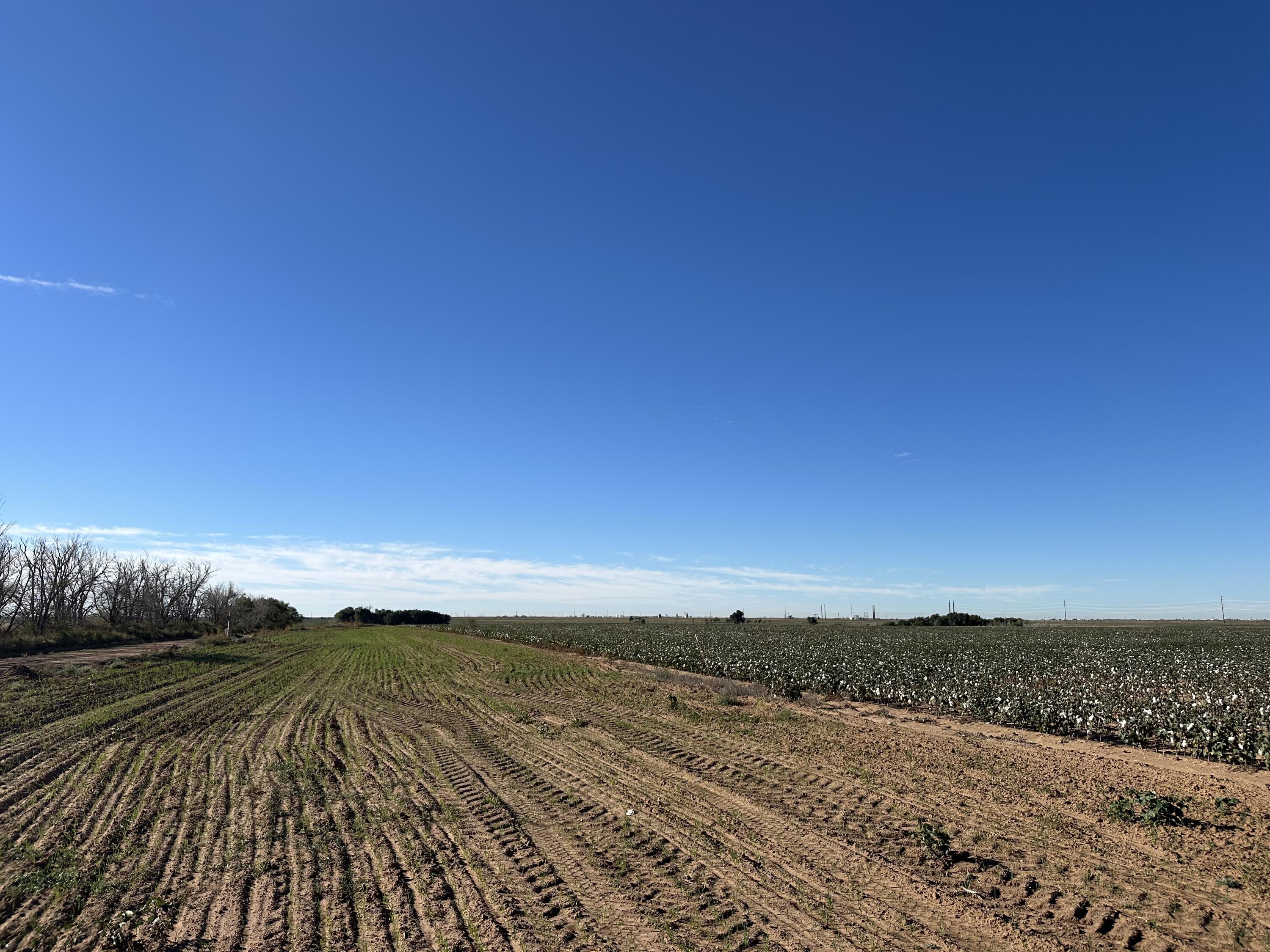 0 C R 5200 Abernathy, TX 79311 - Photo 42 of 48 a view of an ocean