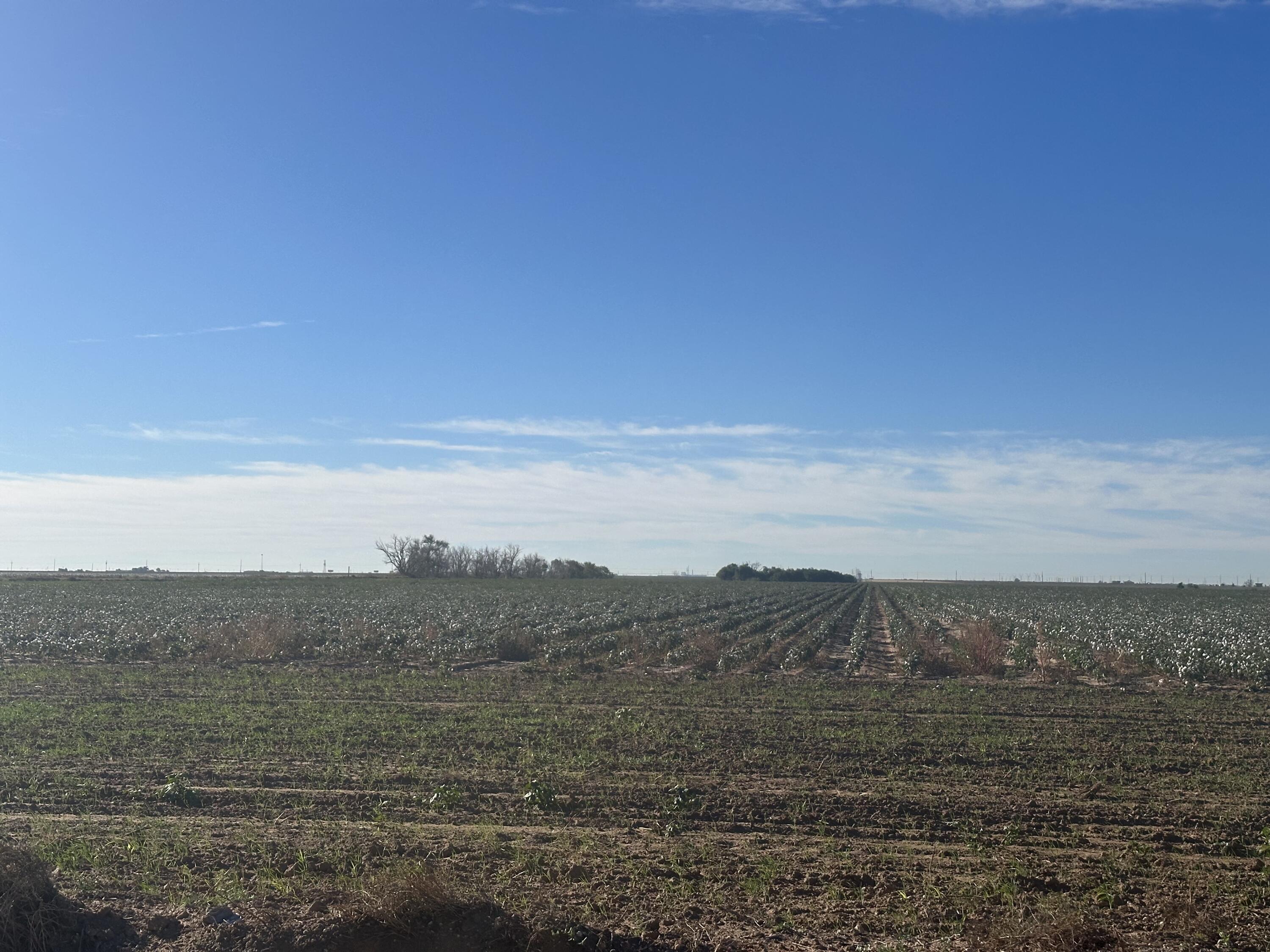 0 C R 5200 Abernathy, TX 79311 - Photo 46 of 48