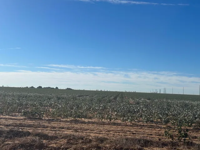 $464,000 | 0 C R 5200, Abernathy, TX 79311