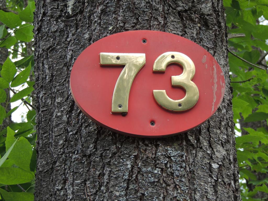 73 Winhall Hollow Road Winhall, VT 05340 - Photo 36 of 36