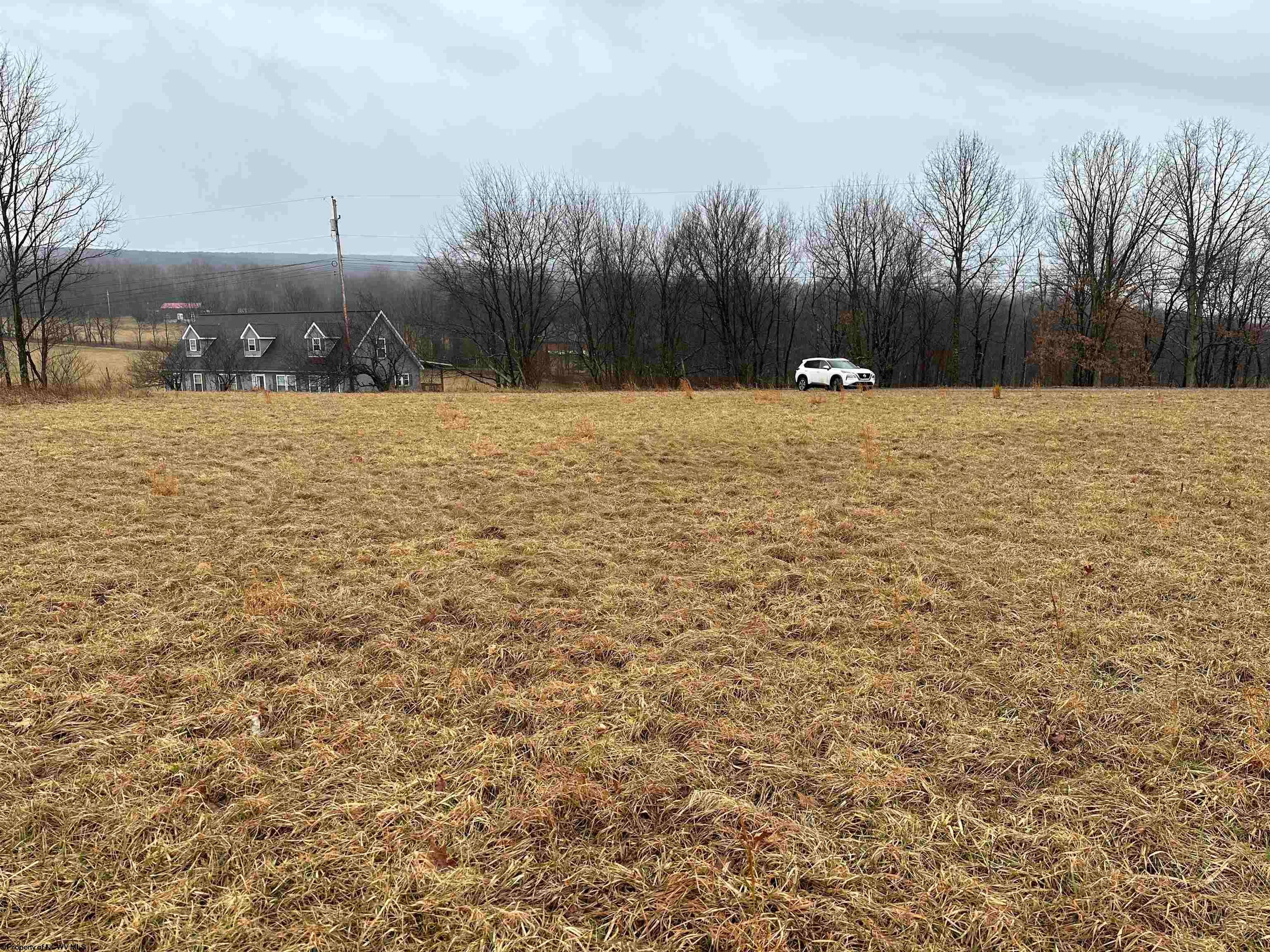 Tbd Windy Ridge Lane Albright, WV 26519 - Photo 15 of 16 Gallery Image 15