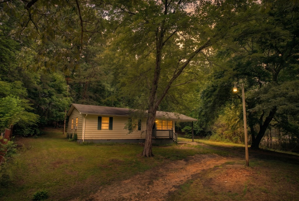 92 No-Where Road Blairsville, GA 30512 - Photo 24 of 36 a view of a house with backyard and trees