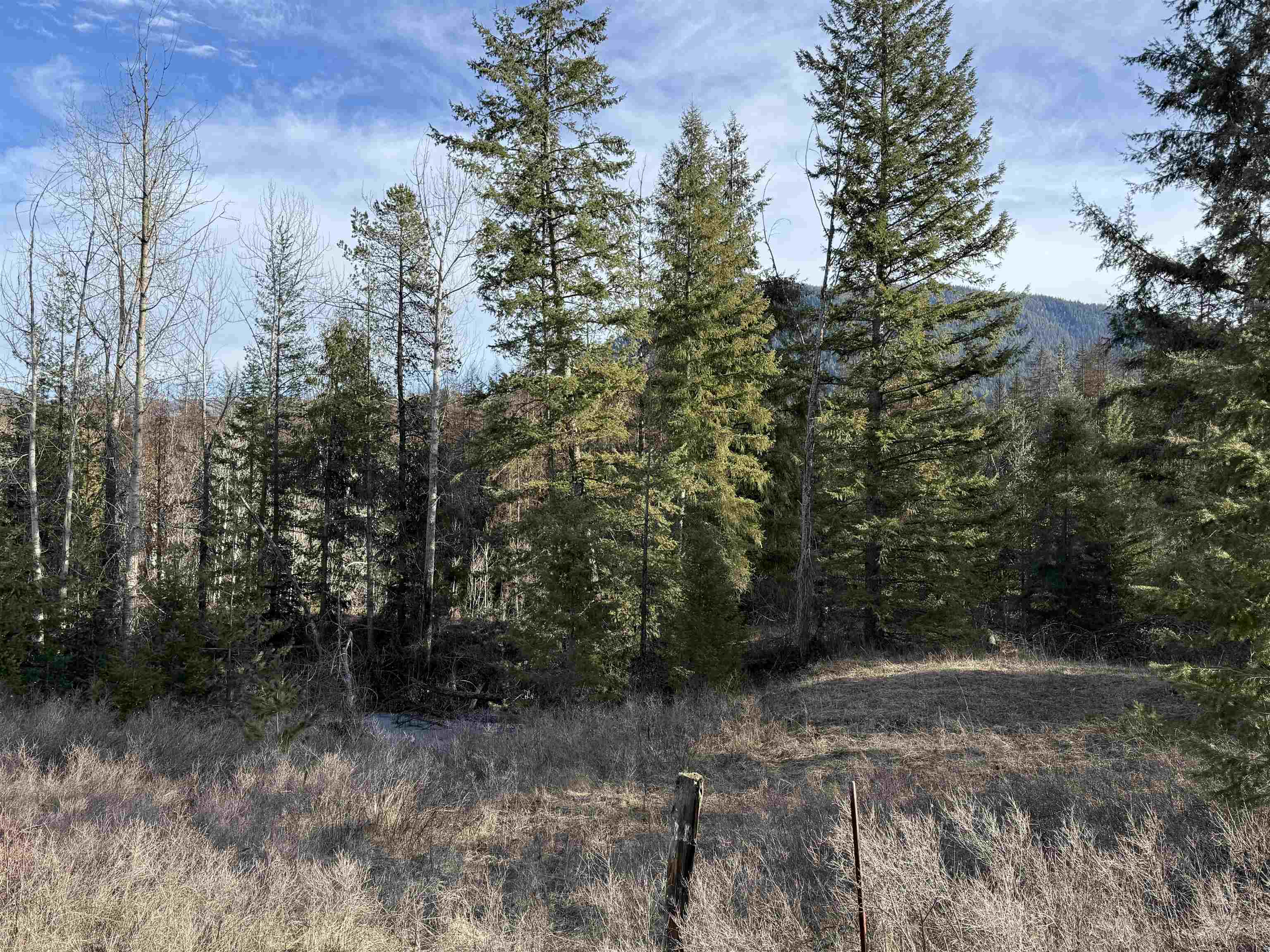 3832 Deep Lake Boundary Road Colville, WA 99114 - Photo 31 of 37 Gallery Image 31