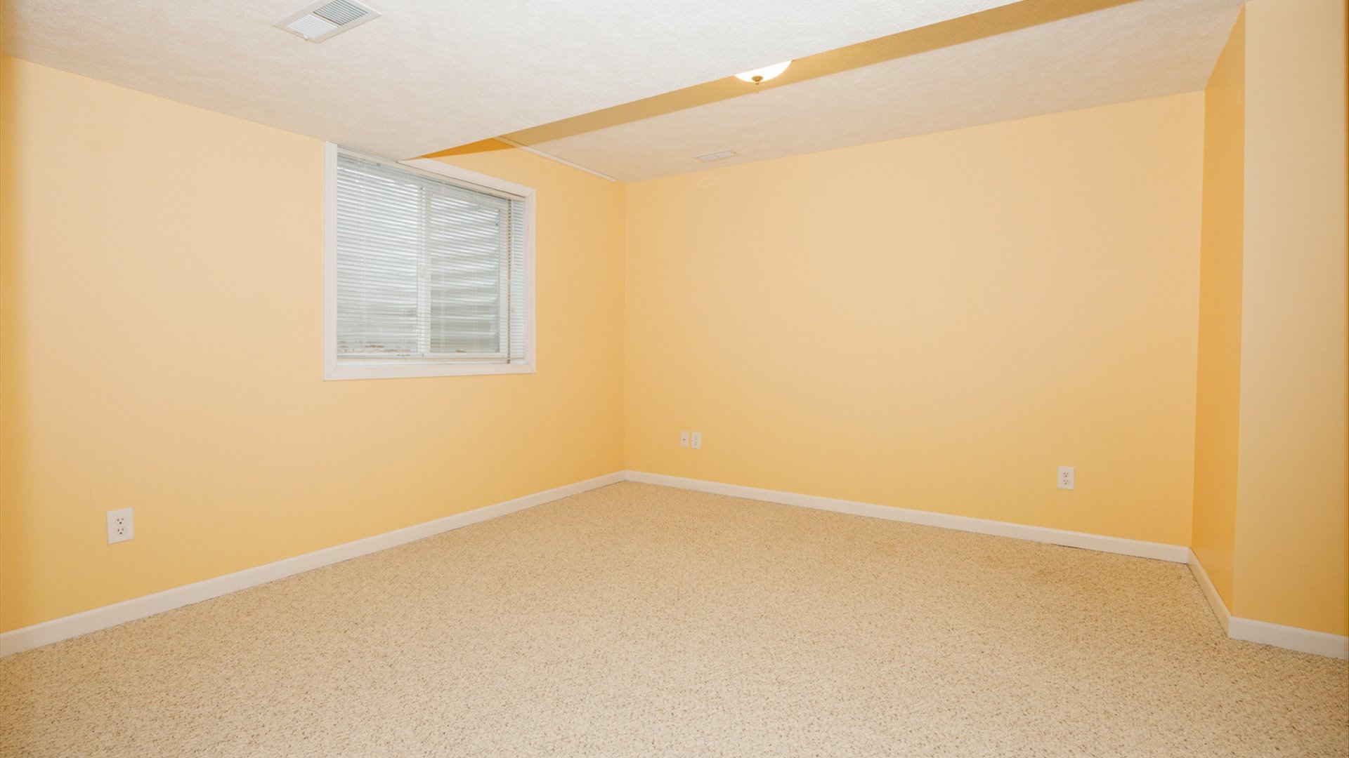 1170 Lynx Lane Normal, IL 61761 - Photo 41 of 46 an empty room with a window