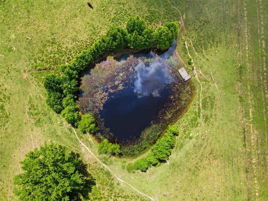1663 County Road 1405 Bogata, TX 75417 - Photo 31 of 36