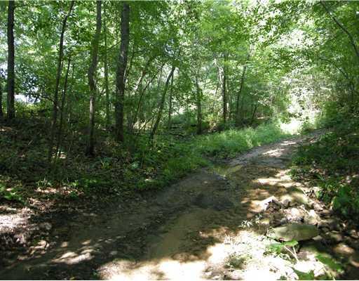 Beacon Road Renfrew, PA 16053 - Photo 4 of 9 Land/Lot.