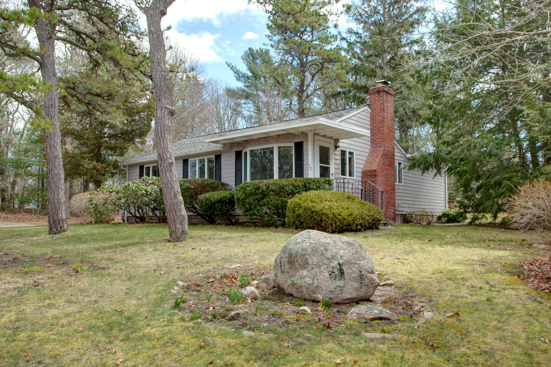 a backyard of a house with plants and large tree