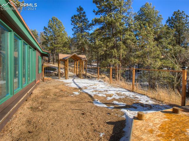 3145 Cedar Mountain Road Divide, CO 80814 - Photo 4 of 22 Front yard.