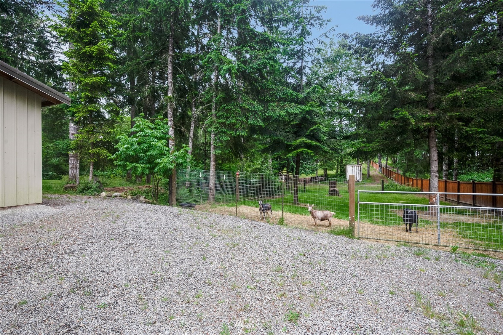 7030 Zangle Road Northeast Olympia, WA 98506 - Photo 25 of 35 Gallery Image 25