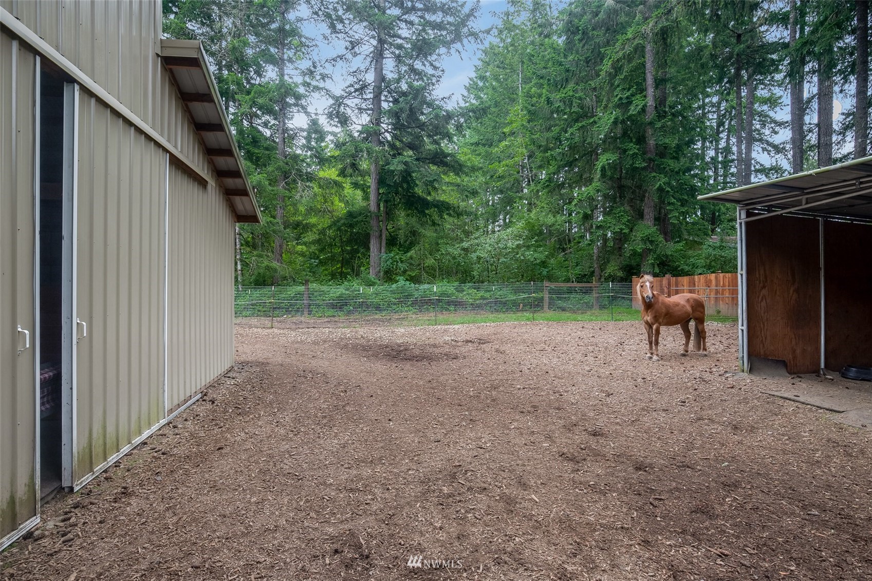 7030 Zangle Road Northeast Olympia, WA 98506 - Photo 29 of 35 Gallery Image 29