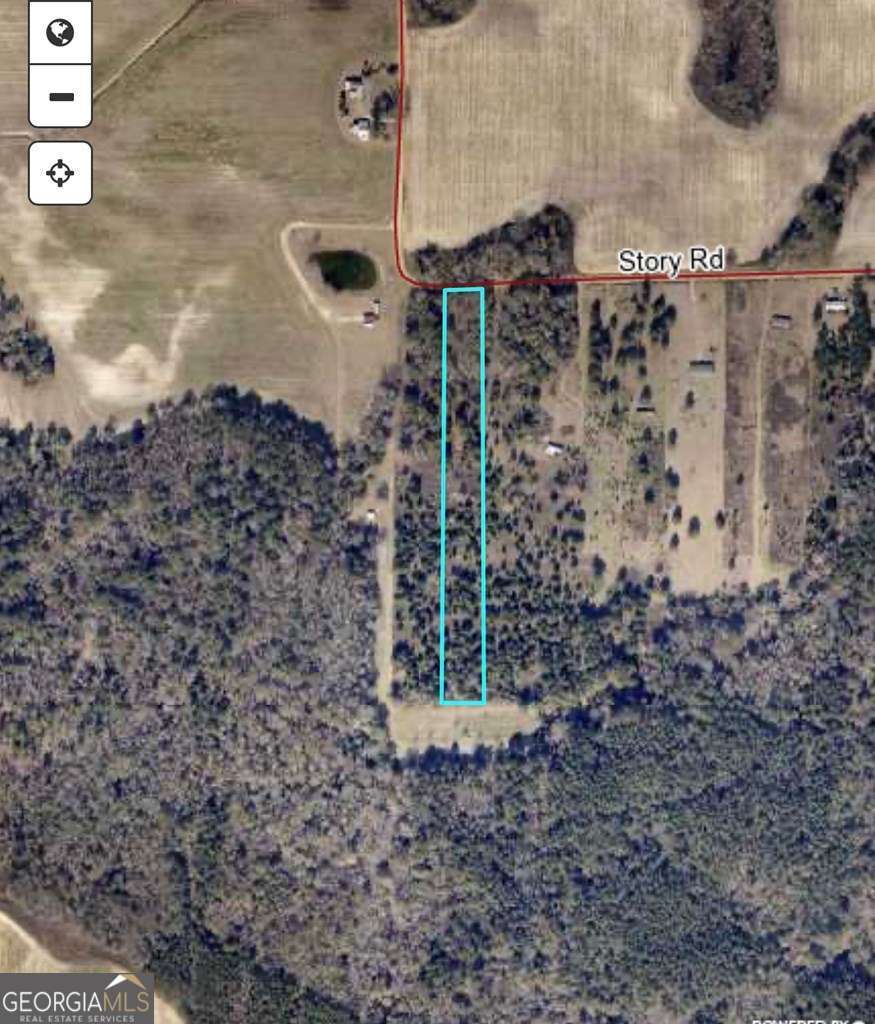 0 Story Road Arabi, GA 31712 - Photo 2 of 3