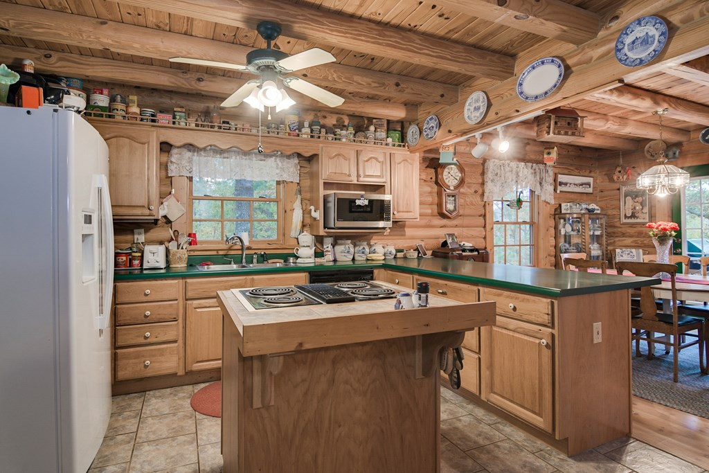 865 Edisto Lake Road Wagener, SC 29164 - Photo 9 of 33 Gallery Image 9