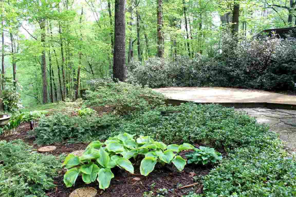 1166 Cartee Road Anderson, SC 29625 - Photo 22 of 27