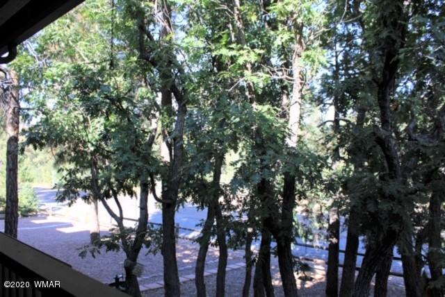 6206 West Starlight Ridge Parkway, Unit 51 Lakeside, AZ 85929 - Photo 31 of 36