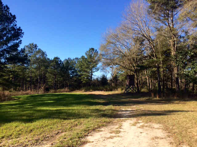20932 Earl Phillips Road Little River, AL 36550 - Photo 10 of 17