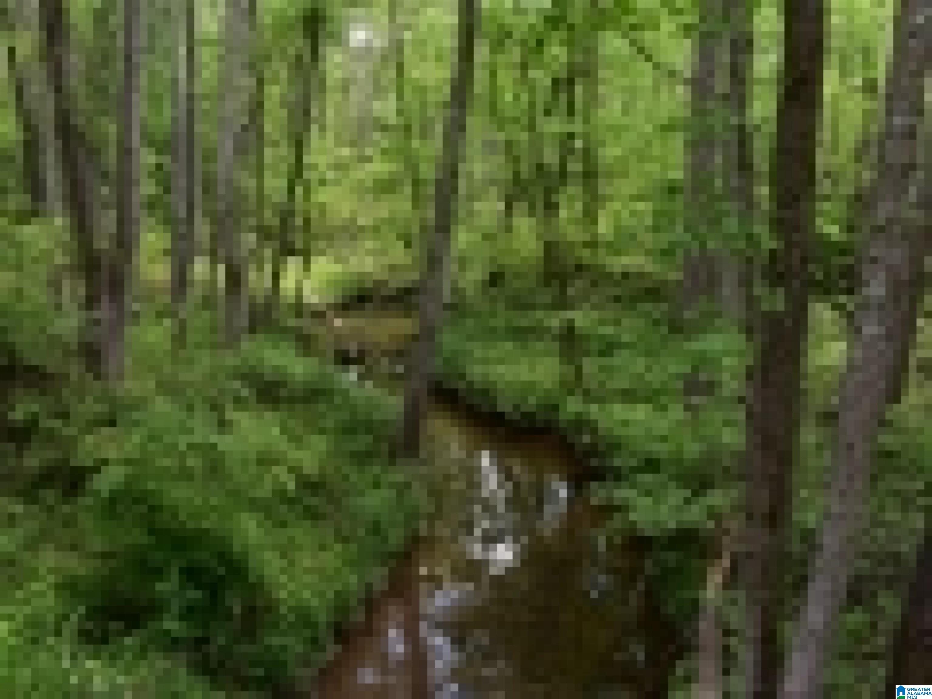 0 County Road 141, Unit 1 Ider, AL 35981 - Photo 21 of 29