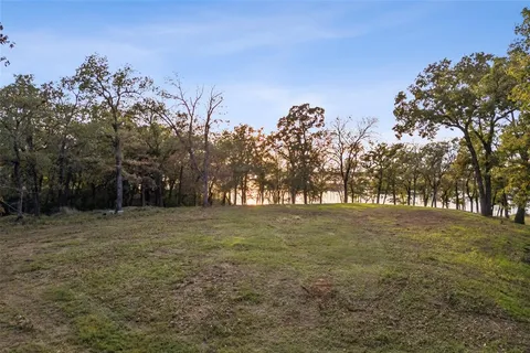 a view of a field with trees in the background