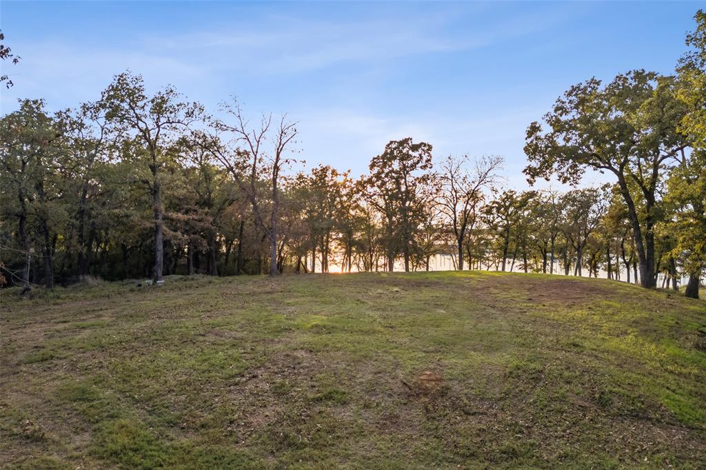 350 West Dickson Lane Oak Point, TX 75068 - Photo 10 of 23 a view of a field with trees in the background