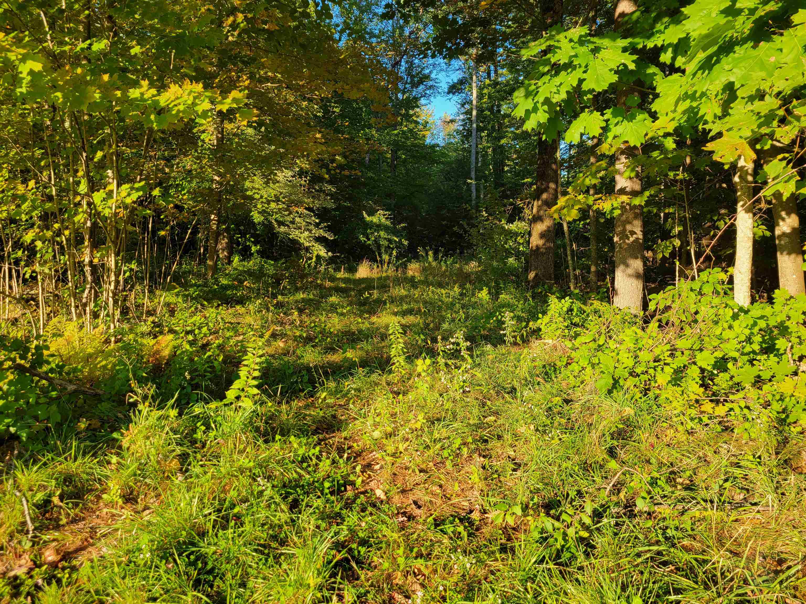 0 Tuftonboro Neck Road Mirror Lake, NH 03853 - Photo 2 of 4 Gallery Image 2