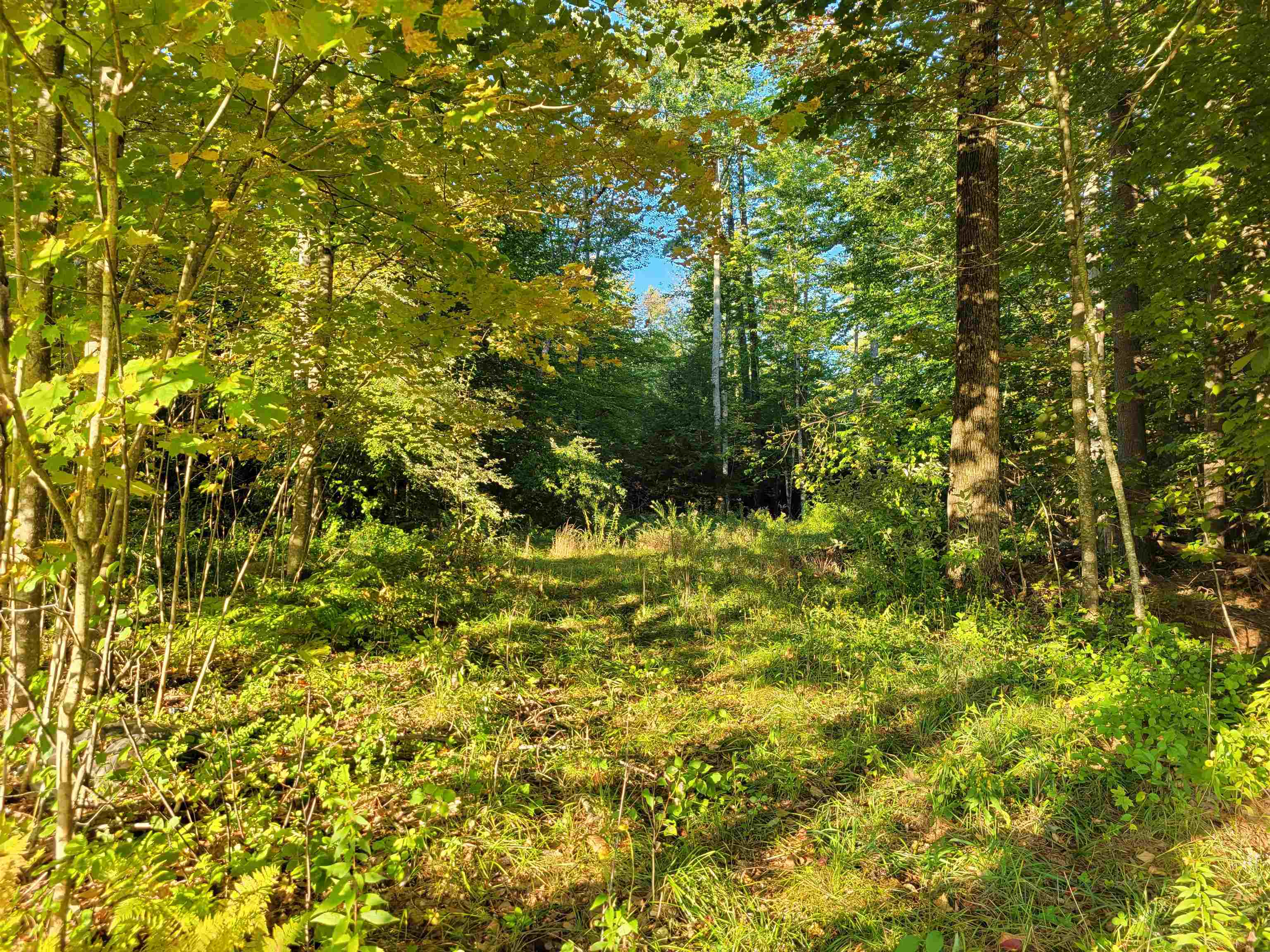 0 Tuftonboro Neck Road Mirror Lake, NH 03853 - Photo 3 of 4 Gallery Image 3