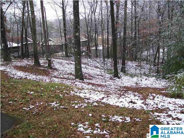 905 Woodbrook Road Birmingham, AL 35215 - Photo 3 of 31