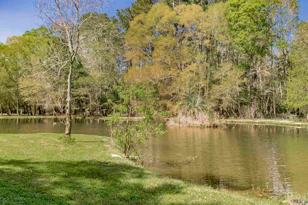 $305,000 | 28675 Red Oak Drive, Walker, LA 70785