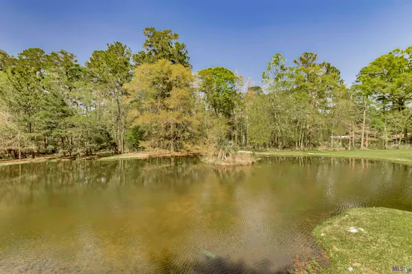 $305,000 | 28675 Red Oak Drive, Walker, LA 70785