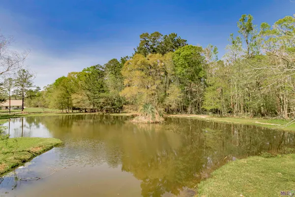 $305,000 | 28675 Red Oak Drive, Walker, LA 70785