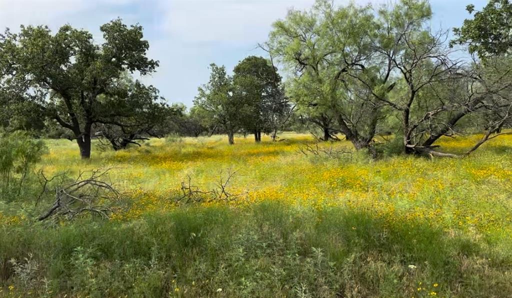 320 Pumphrey Road, Unit LOT 7 Loving, TX 76460 - Photo 1 of 1 View of landscape