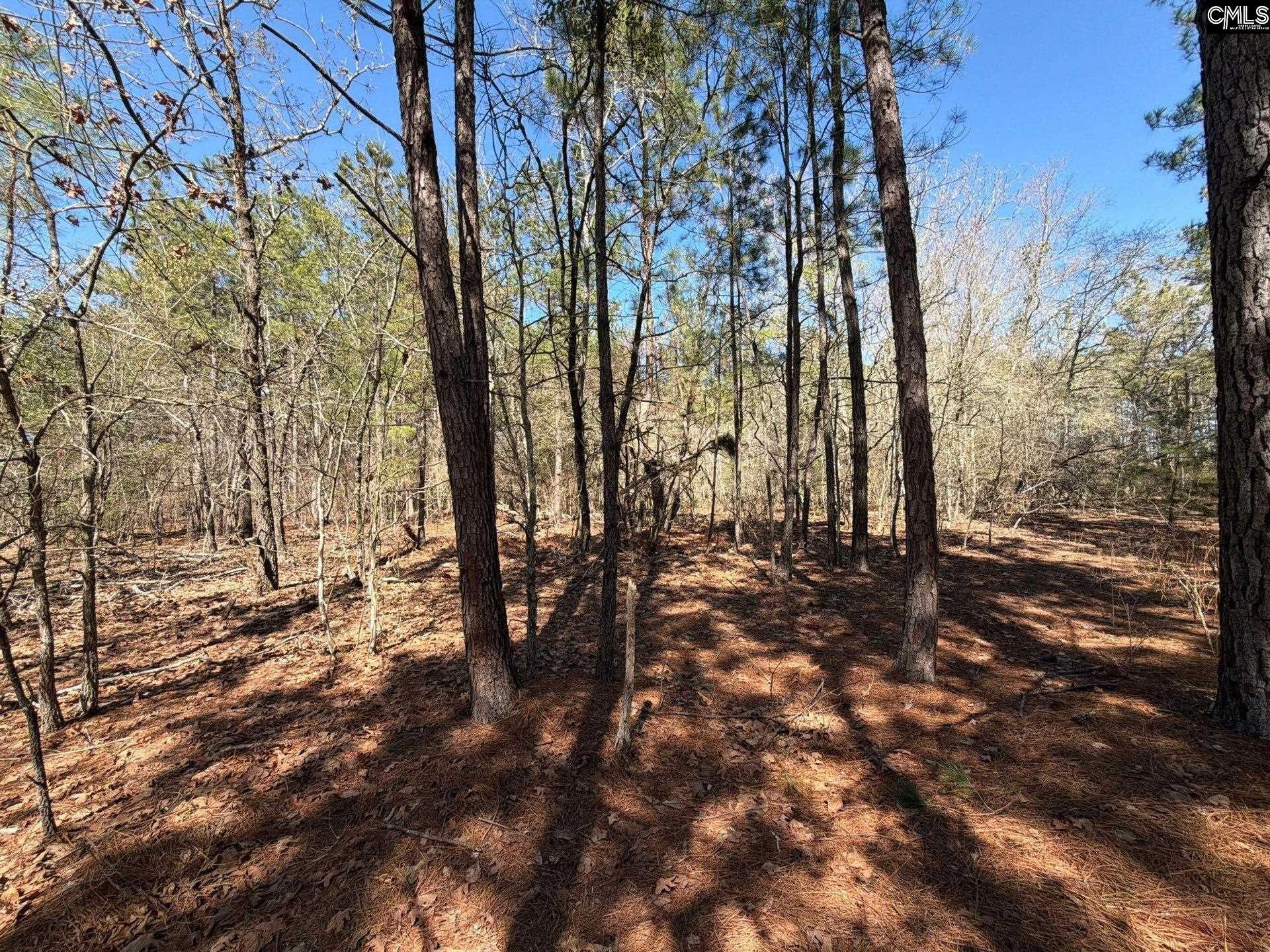 15 Boise Cascade Road Bethune, SC 29009 - Photo 10 of 15 Gallery Image 10