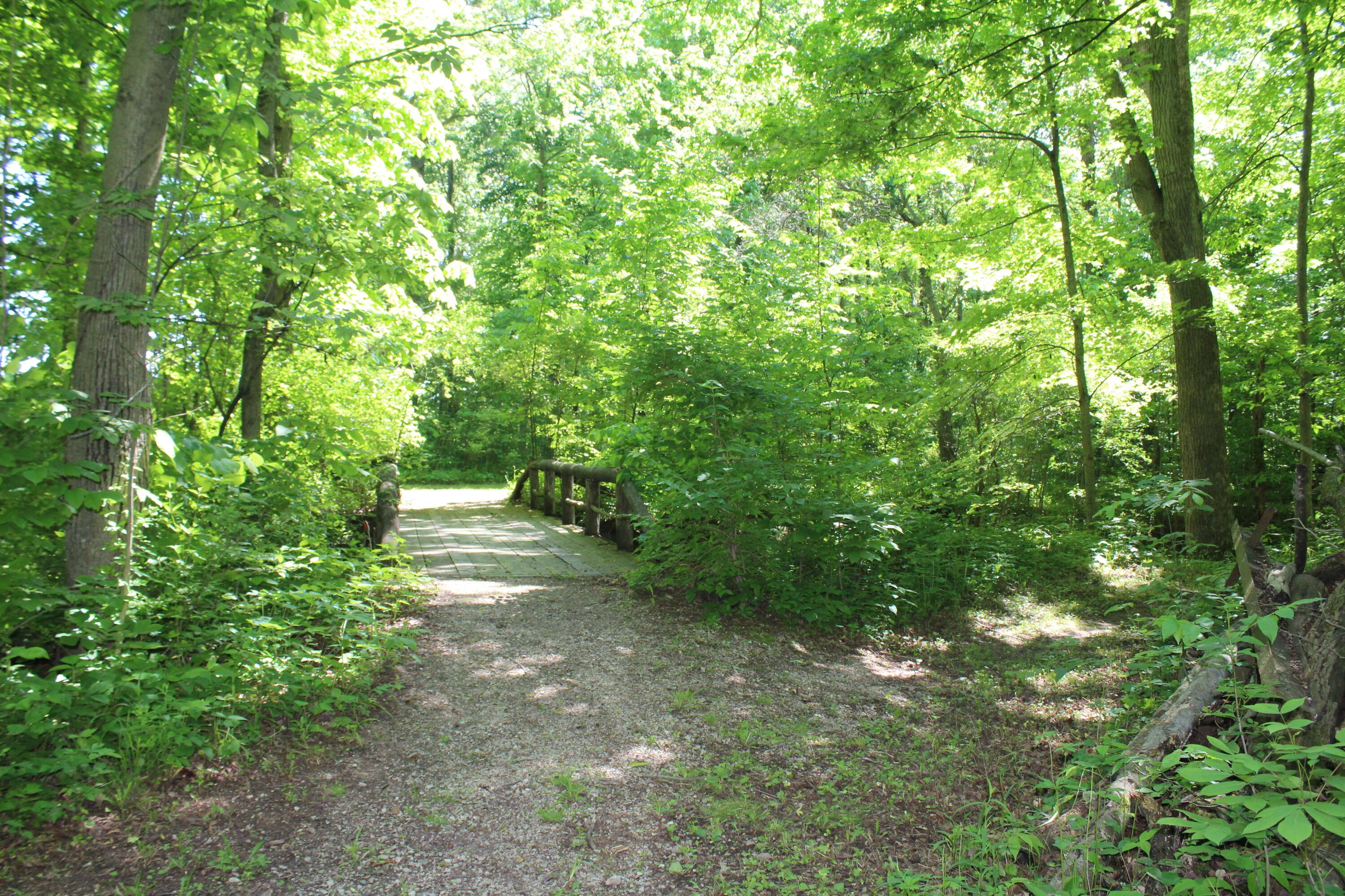 7560 Lamalie Road Green Springs, OH 44836 - Photo 14 of 55