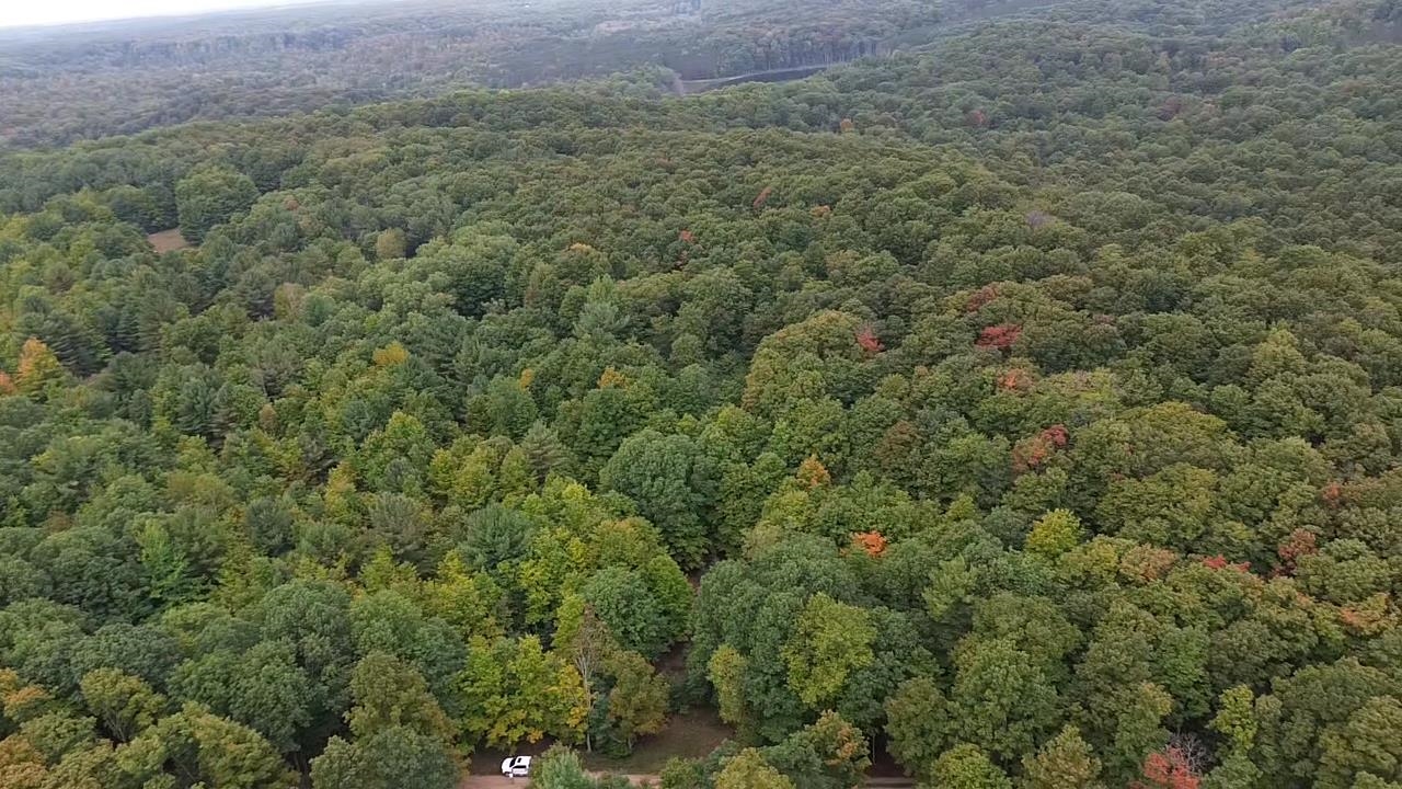 0 South Fritz Road Empire, MI 49630 - Photo 8 of 28
