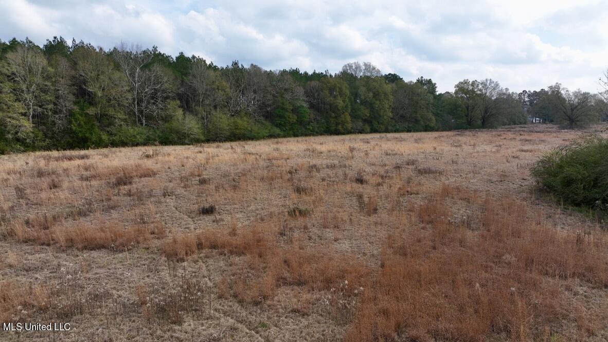 4 Nola Road Northeast Brookhaven, MS 39601 - Photo 22 of 36 B8A5CB82-DFB7-4DED-943B-C14E2B515782_1_1