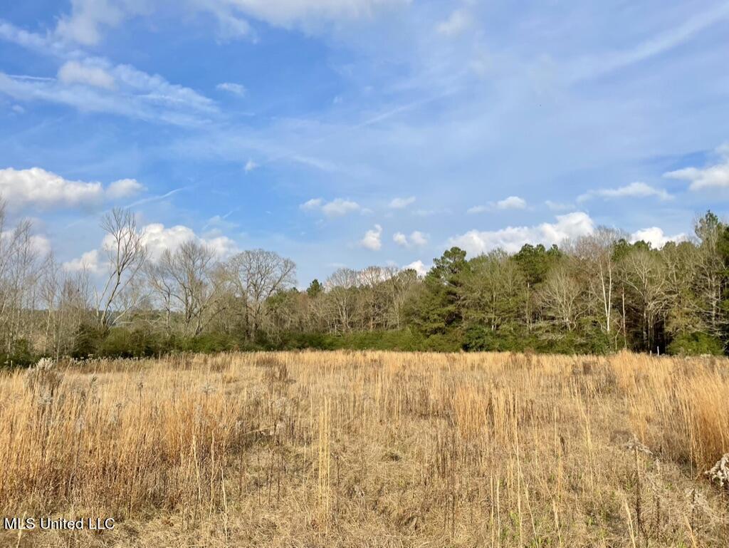 4 Nola Road Northeast Brookhaven, MS 39601 - Photo 24 of 36 23C3C006-D00D-44A2-8BE1-6C2CE18774A5_1_1