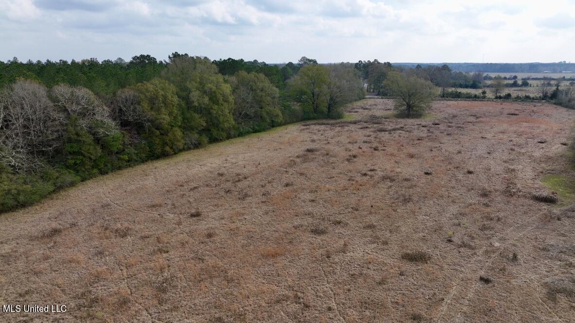 4 Nola Road Northeast Brookhaven, MS 39601 - Photo 25 of 36 AA82BB7E-7D78-40DB-BC11-B96D82093388_1_1