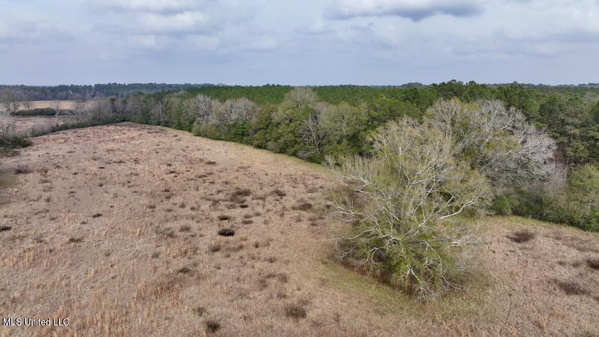 4 Nola Road Northeast Brookhaven, MS 39601 - Photo 27 of 36 4026B839-26CA-4E82-AC40-72920D89CB3C_1_1
